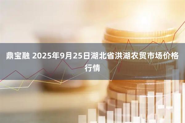鼎宝融 2025年9月25日湖北省洪湖农贸市场价格行情