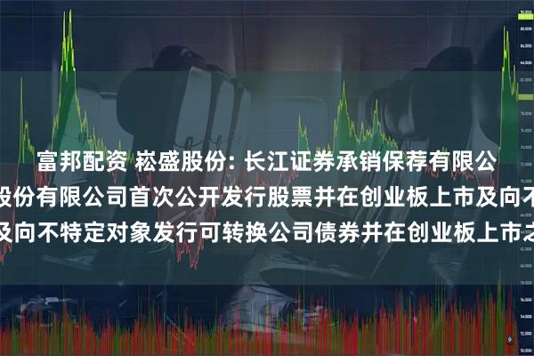 富邦配资 崧盛股份: 长江证券承销保荐有限公司关于深圳市崧盛电子股份有限公司首次公开发行股票并在创业板上市及向不特定对象发行可转换公司债券并在创业板上市之保荐工作总结报告书