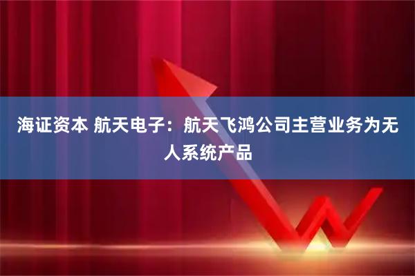 海证资本 航天电子：航天飞鸿公司主营业务为无人系统产品