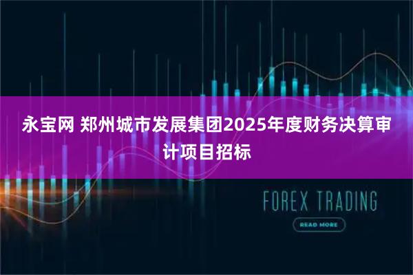 永宝网 郑州城市发展集团2025年度财务决算审计项目招标