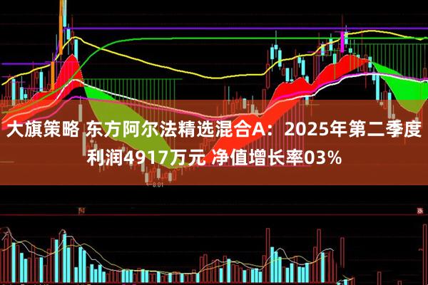 大旗策略 东方阿尔法精选混合A：2025年第二季度利润4917万元 净值增长率03%