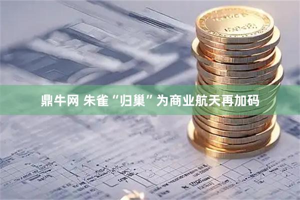 鼎牛网 朱雀“归巢”为商业航天再加码